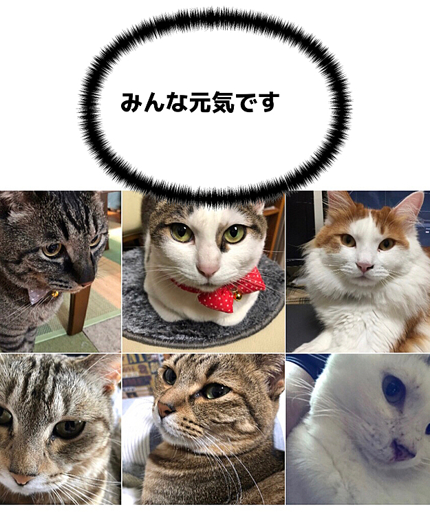 とてもしばらくぶりです💦
みんな元気ですごし今年もあと少しで終わりそう💦
新たな良き年を皆様お迎えください😊
たまには投稿しなきゃ🙋
