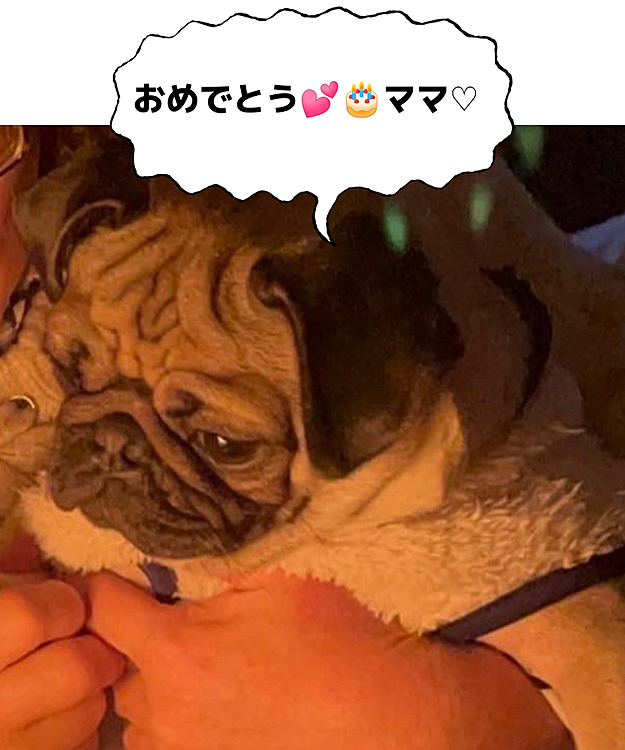 お母さんのお誕生日🎂をお祝い🥂♡