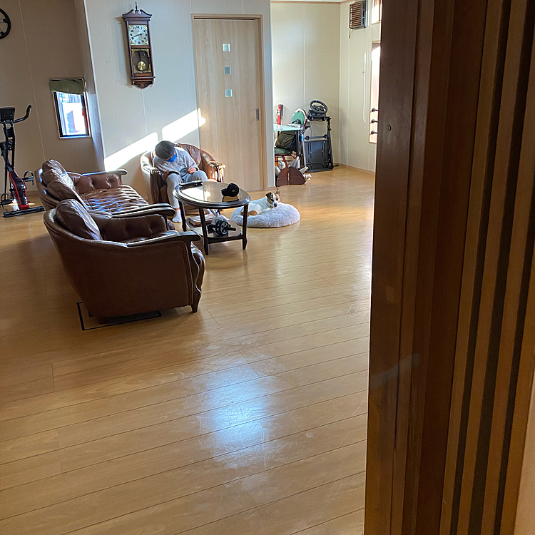 毎日拭き拭き、毎週パタパタ(はたきと掃除機)毎年窓拭き(これは息子)カーテン洗い
で、退屈してるタイガー🐯　因みに遊びに来た孫