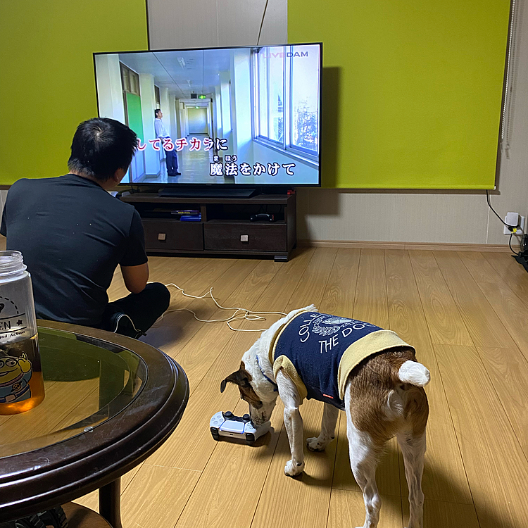 大掃除も終わり、息子とカラオケ🎤大会