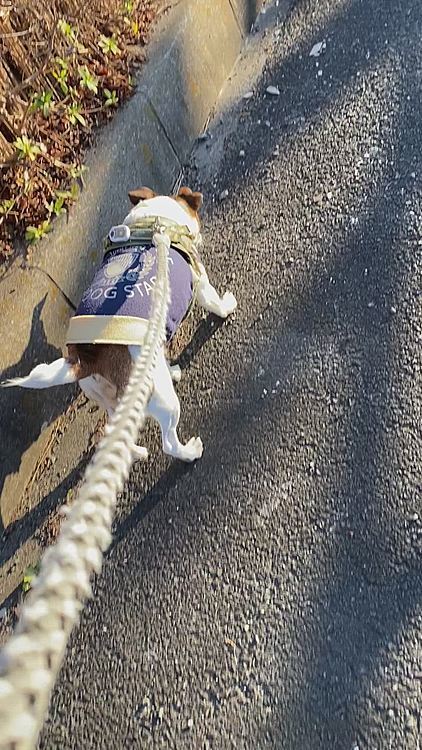 帰りも変わらず、もうすぐ、おうち❣️