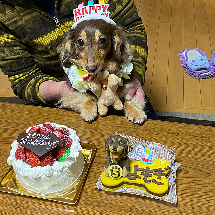 友達たちとお祝いしました😄