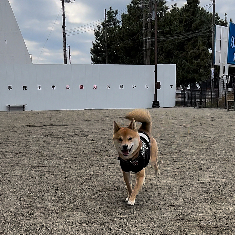 2022.12.31（土）
今年最後の走り納めをしてきました💨
