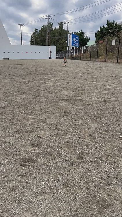 来年もよろしくお願いいたします☺️