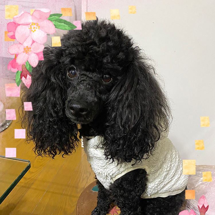 今年も宜しくお願い致します✨
