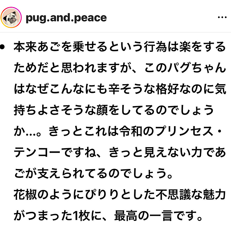 楽しい受賞の評価コメントもいただきました😊