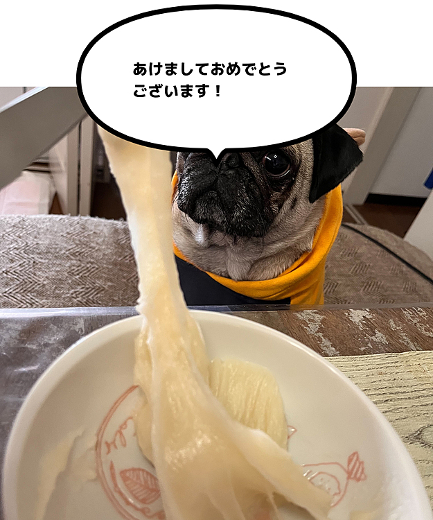 2023！！！今年も宜しくお願いします🤲