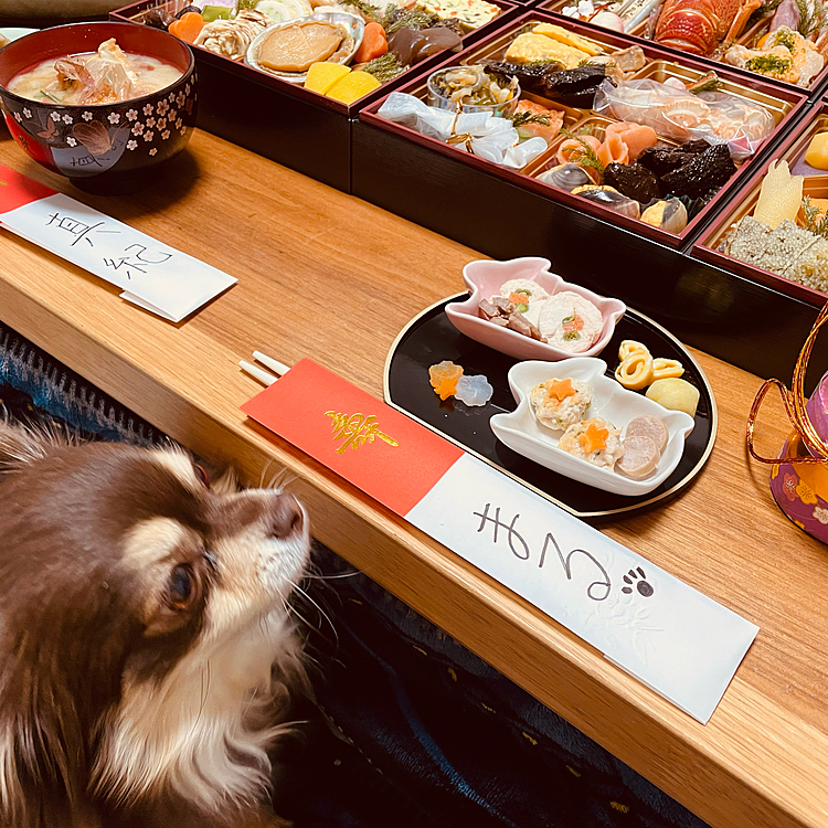 あけましておめでとうございます🎈
今年もよろしくお願いします🎍

朝散歩に行って　まるちゃんもお節食べましたよ❣️