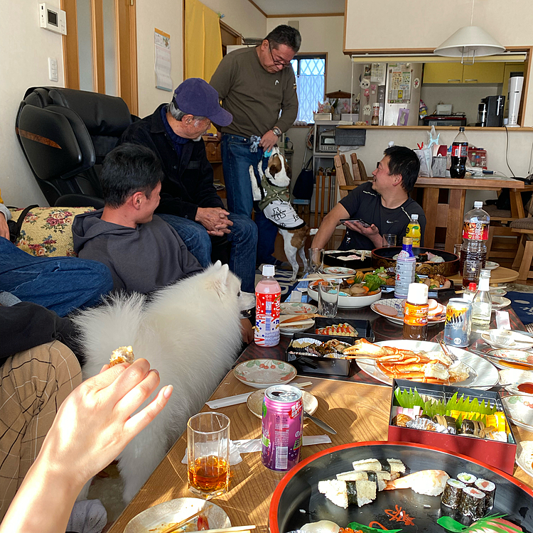 ハッピーとピースの家に(毎年恒例)