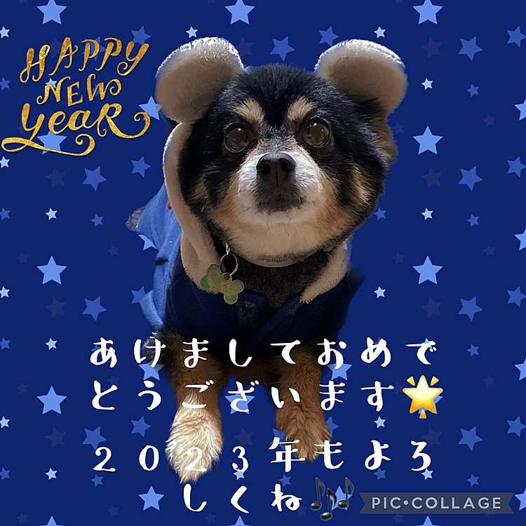 あけましておめでとうございます㊗️🌟

2023年になりましたね🐰
先程とらくんと実家に帰ってきました😊

