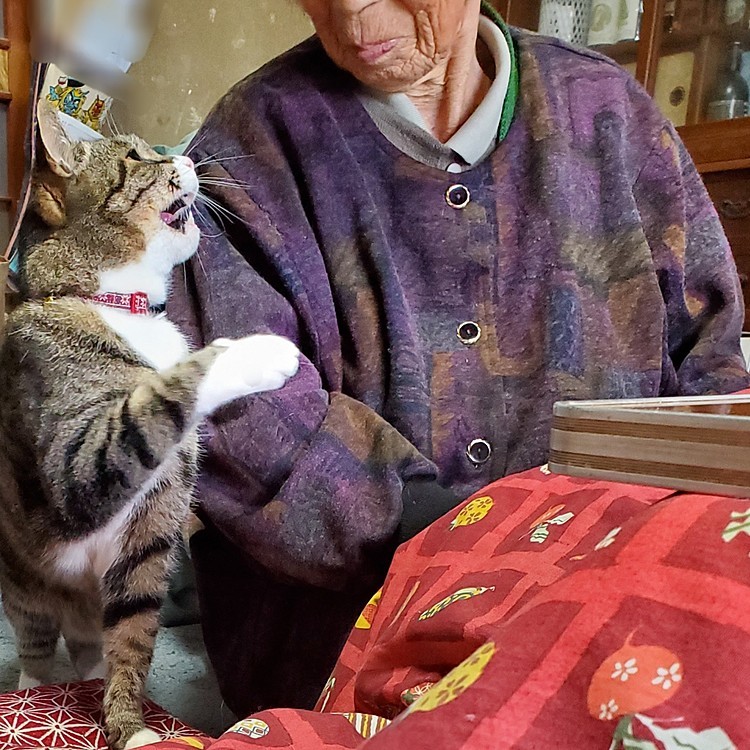 ボクにお年玉
ちょーだい😸