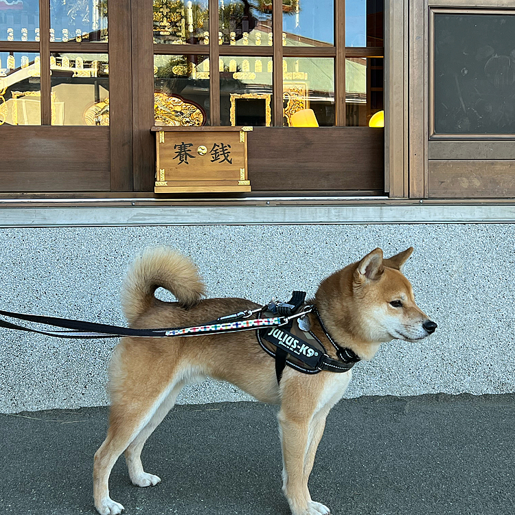 今年もよろしくお願い致します☺️