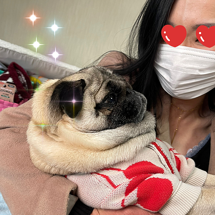 姪っ子抱っこにうっとり☺️