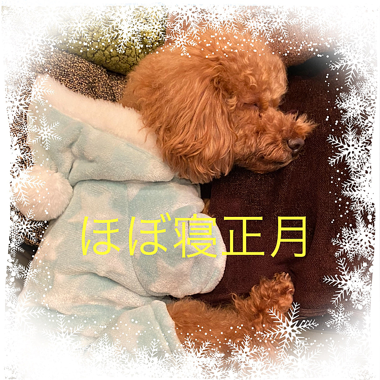 今年も笑顔いっぱい楽しく過ごせたら嬉しいな🍀