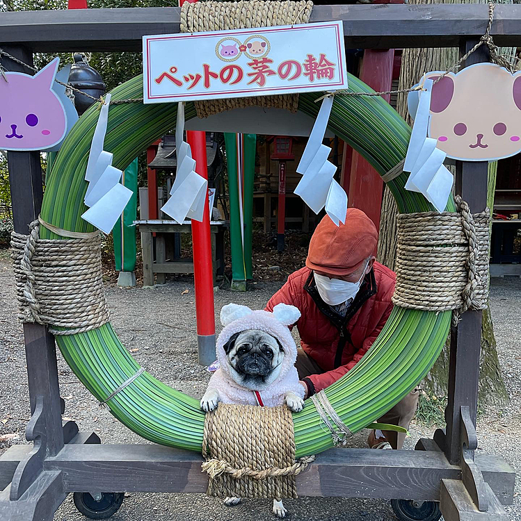 太田の冠稲荷神社に初詣行ってきました⛩