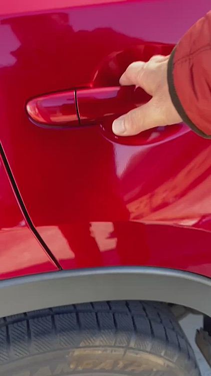 クルマでお出かけ大好きなししまる、ちゃんとマイシートに座ります🚗