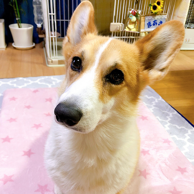 明けましておめでとうございます😃
今年もよろしくお願いします😍
真顔からスタート😃