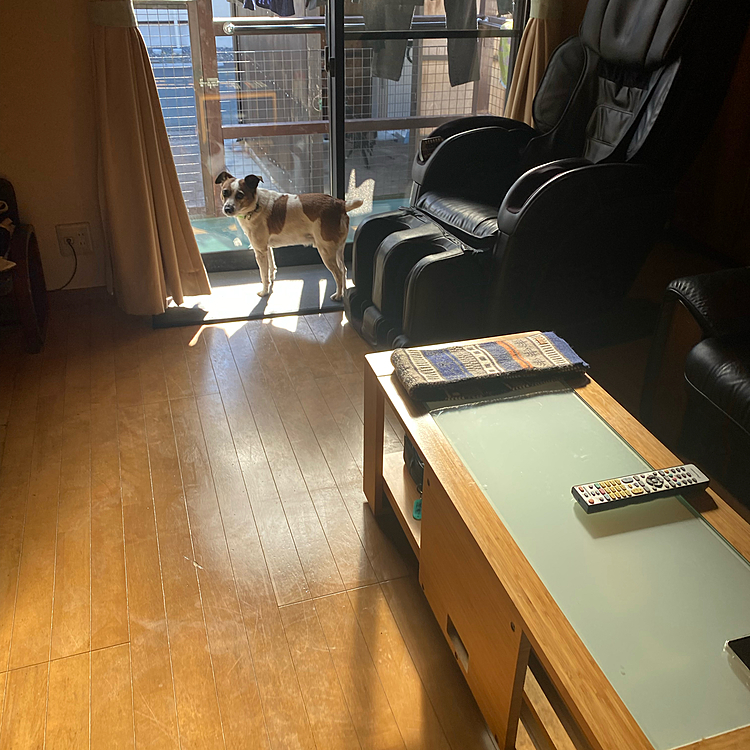 皆んなに置いていかれた先日
やってみたから⁉️😅