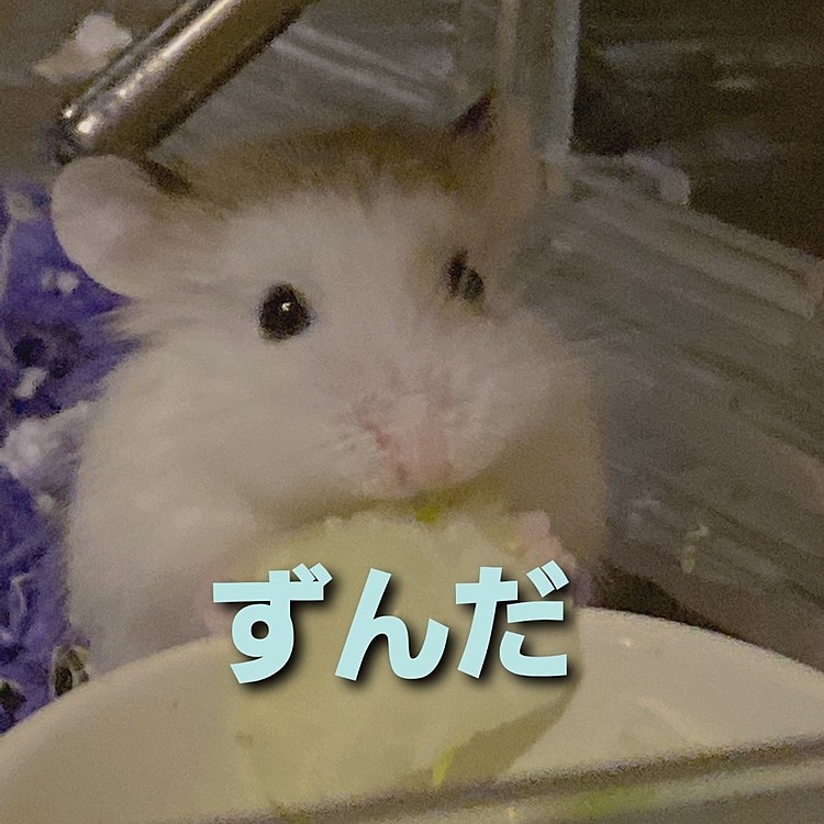 せかせか大忙しだったずんだくん
