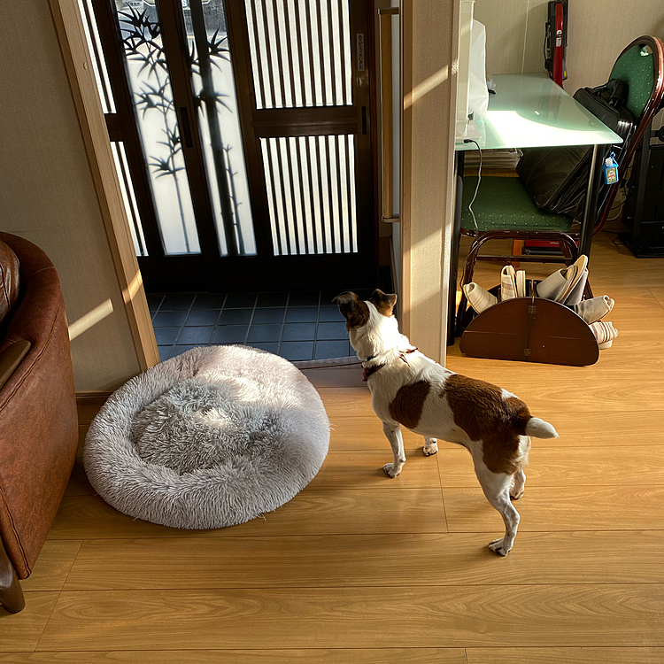 今度は、ここで、日向ぼっこ
