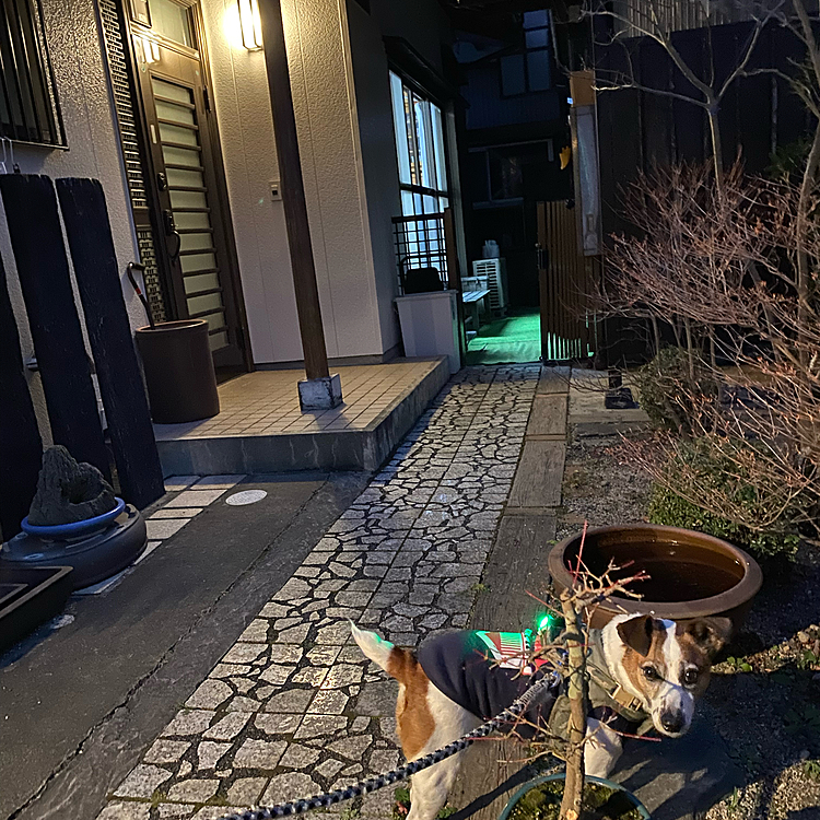 我が家も、外灯が、、