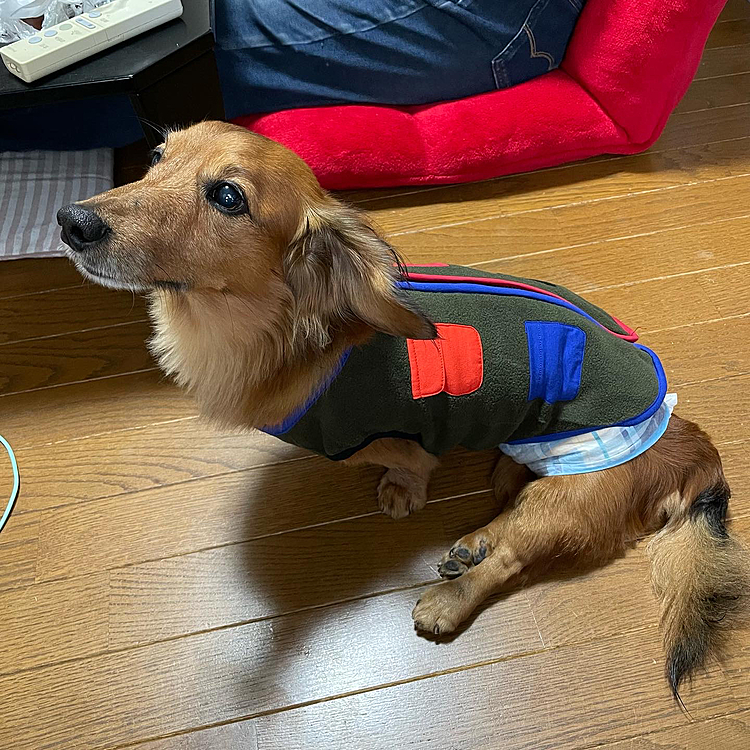 モンキー･H･ミッチーの投稿