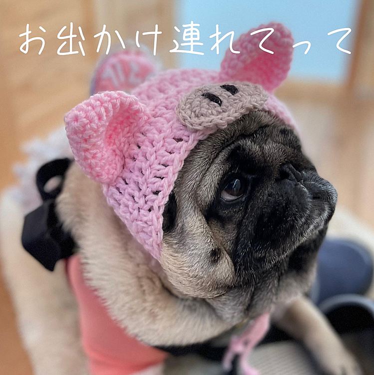 午前中はとうちゃん、2ヶ月に一回の病院の日🏥
午後からやっとお出かけです🚗