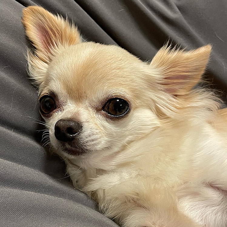 2023.1.17(火)
こんばんは⭐️
眠くて眠くてとろーんとしてます😊