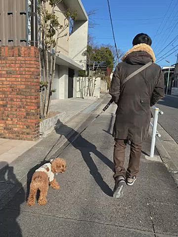 22(日)
犬のマルシェに行こうかギリギリまで迷ったのですが、色々ポチポチ散財したばかりだしオヤツの在庫もあるしパパさんお疲れ気味だったので見送りました🐶
ゆっくり過ごして近所の里山をトボトボ散歩になりました😂