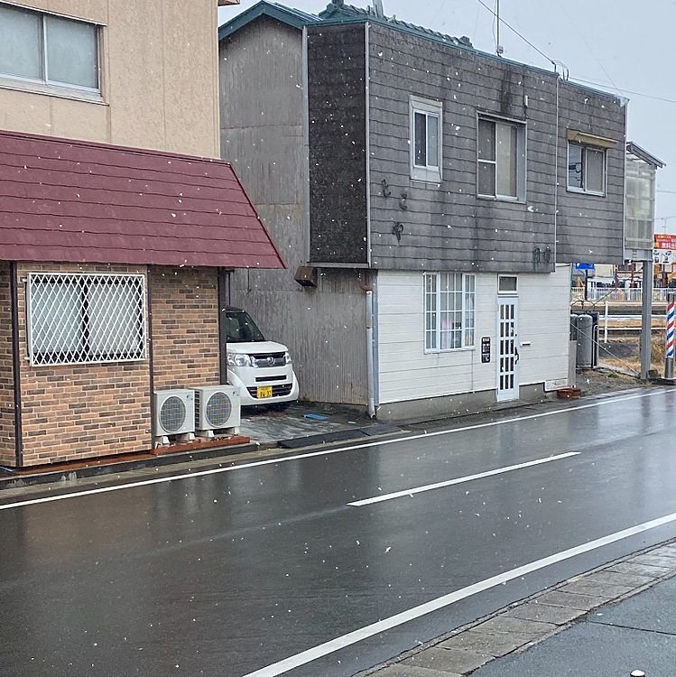 昼間、とうとう、タイガー🐯地方にも雪が‼️