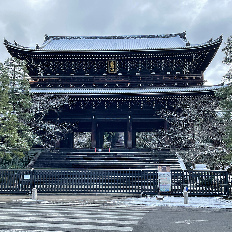 昨日はフランスからの友人を京案内しました。
凛はお留守番です。

祇園〜知恩院〜八坂神社〜安井金比羅宮〜高台寺のコースです。
全部密集してるから、動きやすい😊