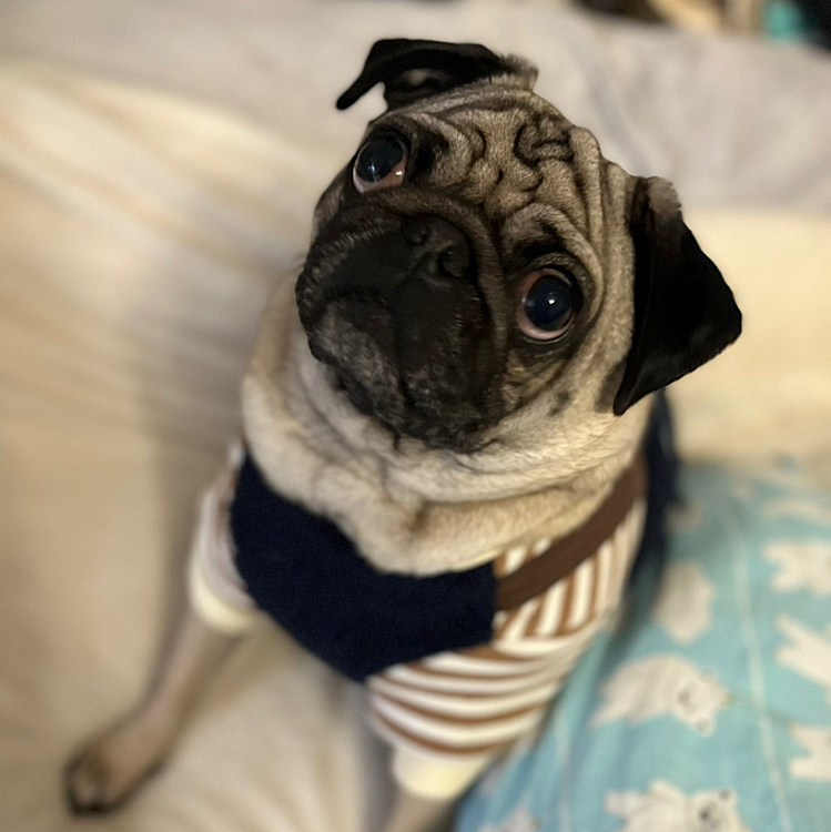 ボーダーのお洋服！！😉