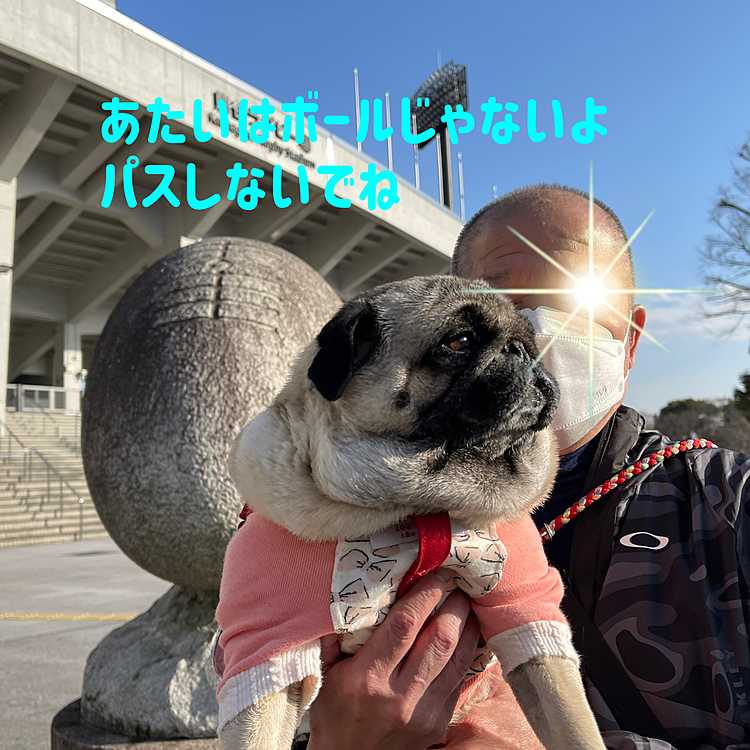 市内の大きな運動公園へお散歩行ってきました🐾
ラグビーの埼玉ワイルドナイツのホームグランド🏉
トップ選手の練習風景を初めて見ました😊