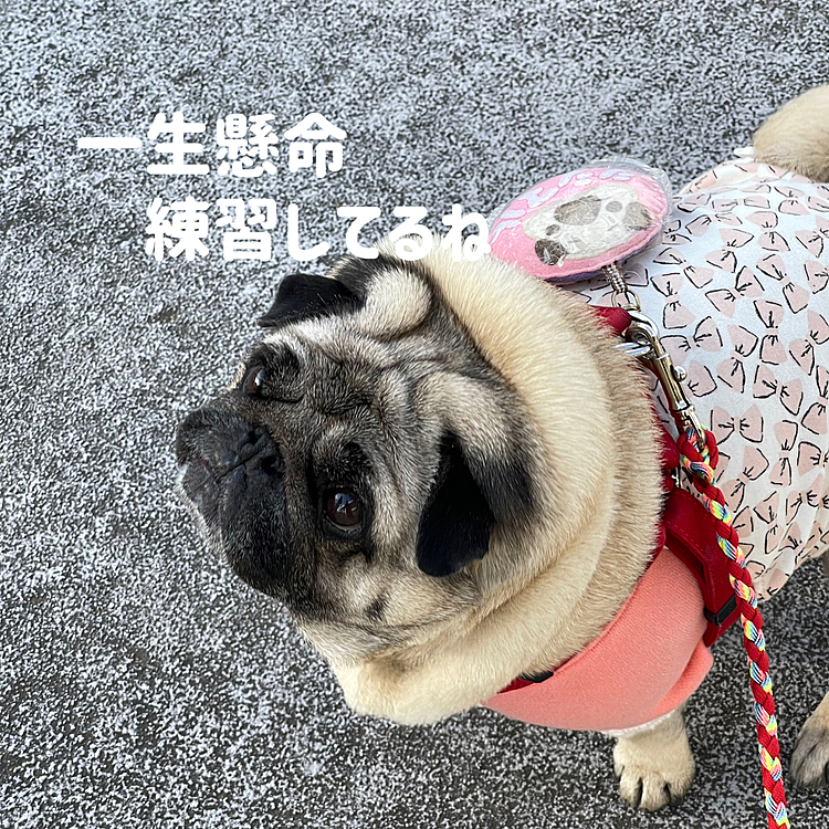 トップ選手の迫力にびっくりでした😳