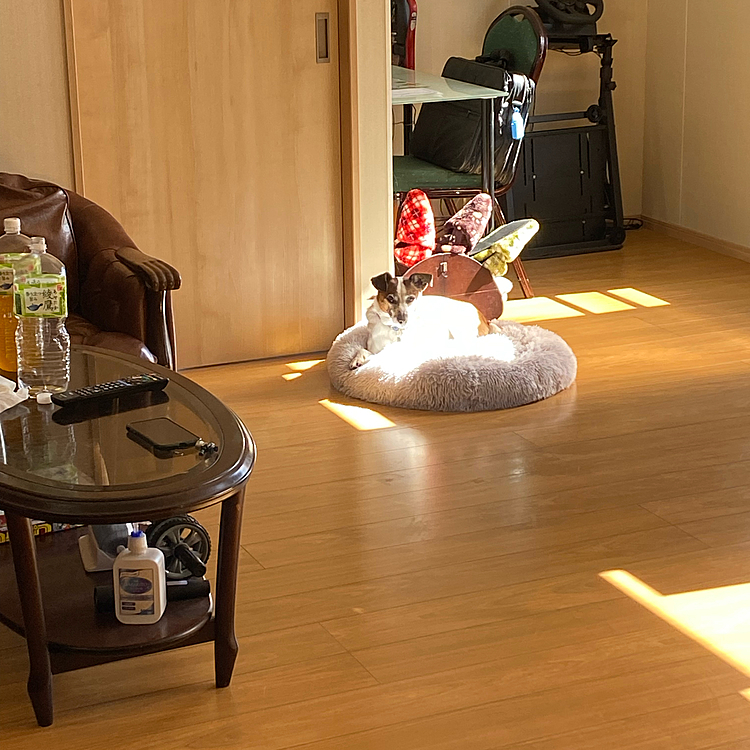 いつも通り自分でベッドを運ぶ