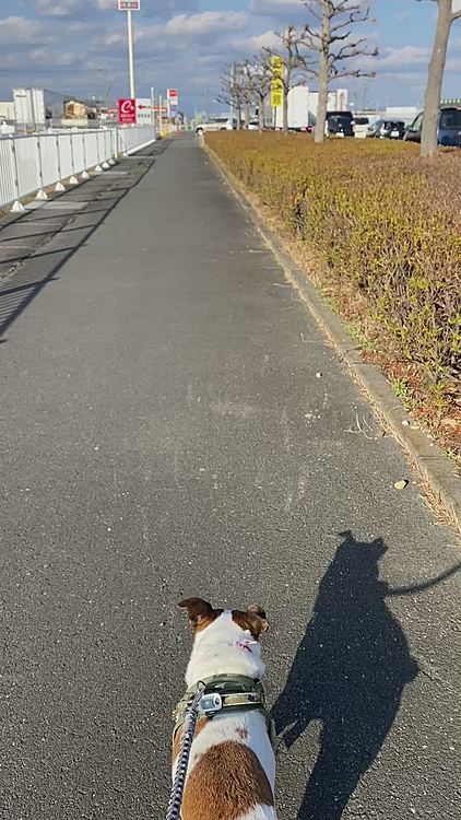 雪雲が、、、でも、なかなか降らないタイガー🐯地方