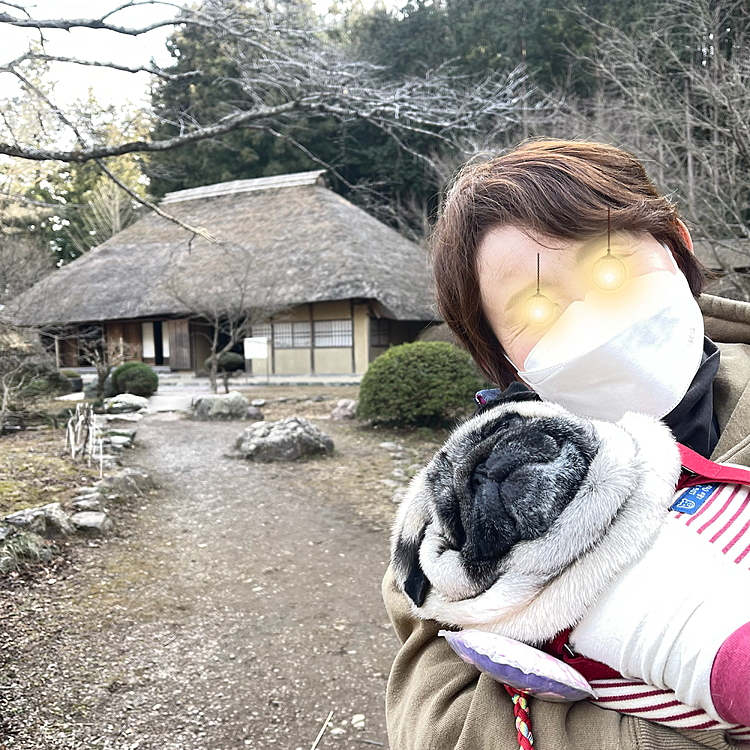 道の駅おがわまちでとうちゃんはおウドン、ママさんおそばランチの後、県内唯一の村、東秩父村の道の駅でお散歩しました🐾