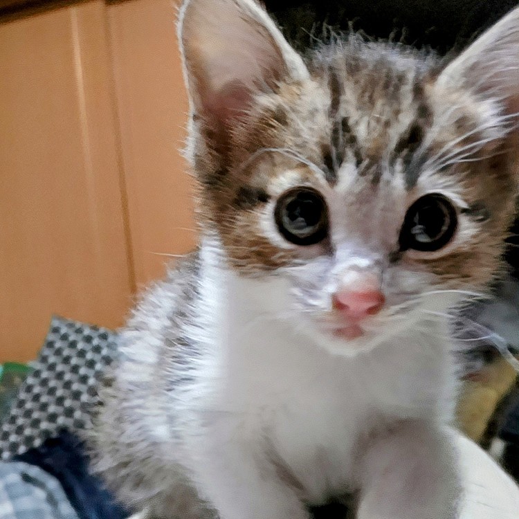 大きくなった❗