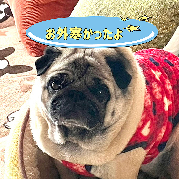 やっぱ寒い❄️