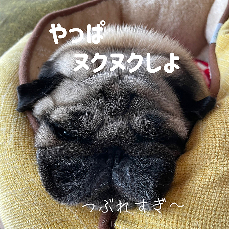 ヌクヌク幸せです♨️