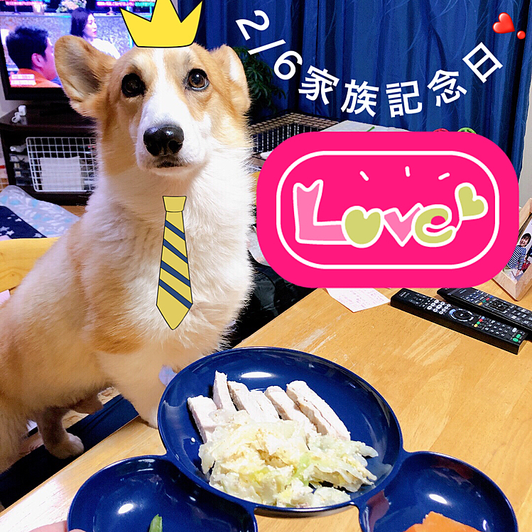 少し遅くなったけど、ご褒美のご飯貰えたよ😃いつ食べる？っておとーたんと話してたの聞いてたけど。。なかなか出てこない。。
おかーたん忘れてた🌀
思い出したの夜の10時。。チーン。。
どーせ。。ボクなんか。。
あ、普通の夜ご飯は少なめに先に食べてたんだけどね。。
普通のご飯の時にくださいよ！忘れるくらいなら。。。
ごめんなさい🌀