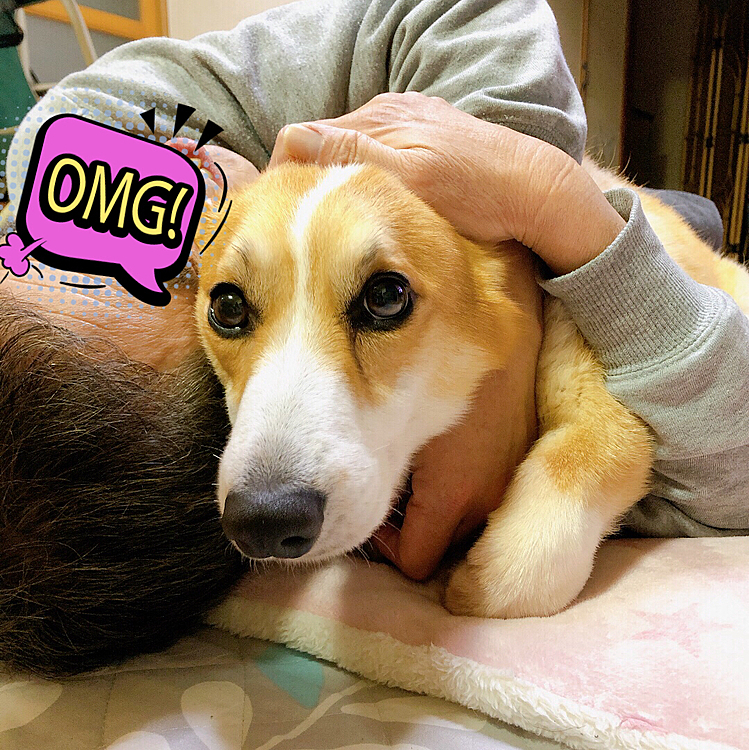 おかーたんの所に行きたいけど、おとーたん。。離してくれない🌀
おかーたん。。助けて😊