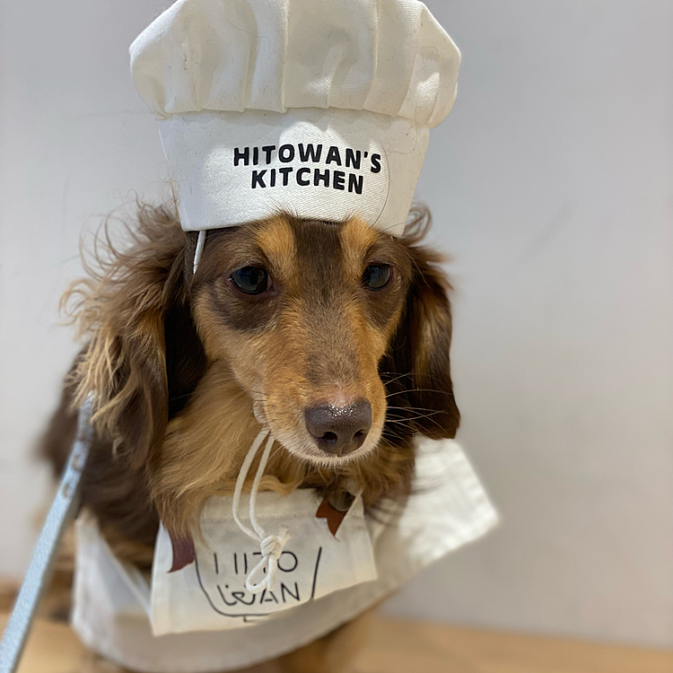 元町の手作り犬ごはん屋さんでコスプレ撮影会
飼い主必死もよもぎは乗り気ではない表情🥺