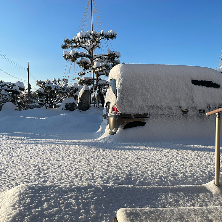 久しぶりにかなり積もったよ☃️❄️