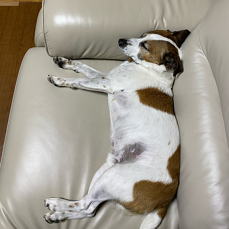 眠くて眠くて、、