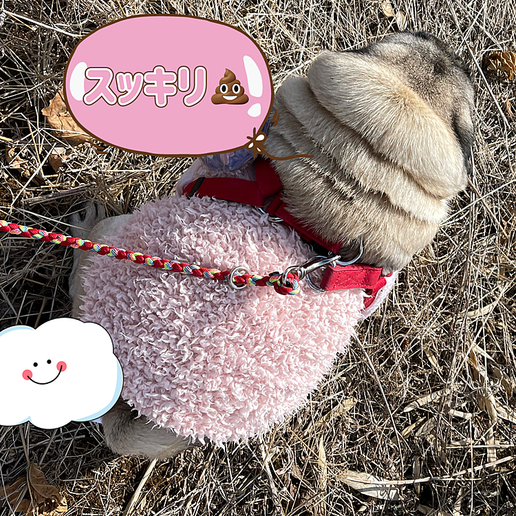 北風の中スッキリ💩