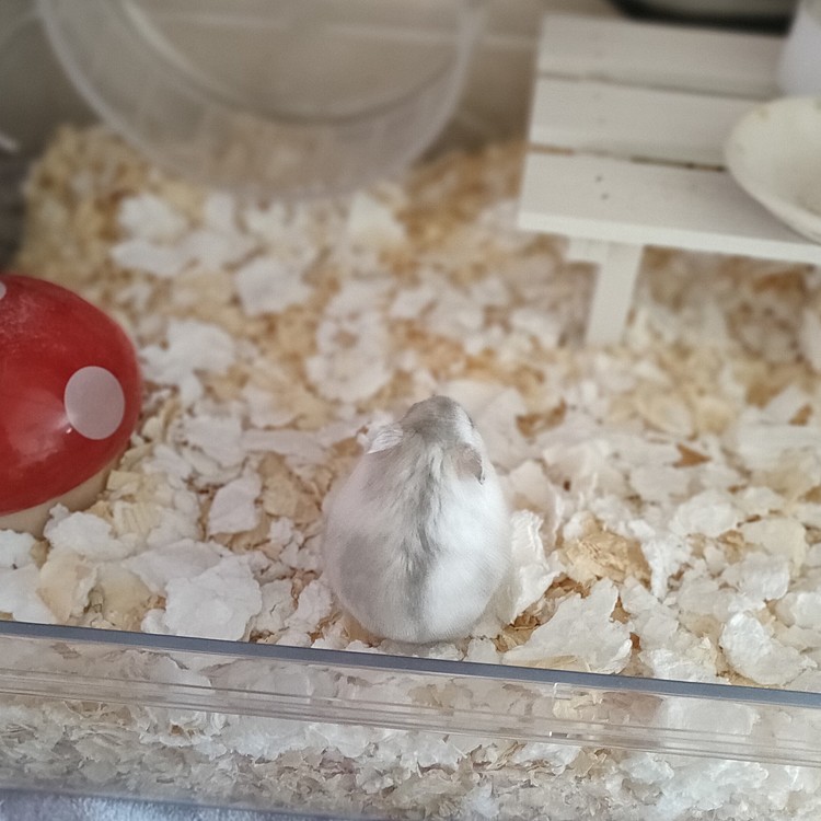 背中♡