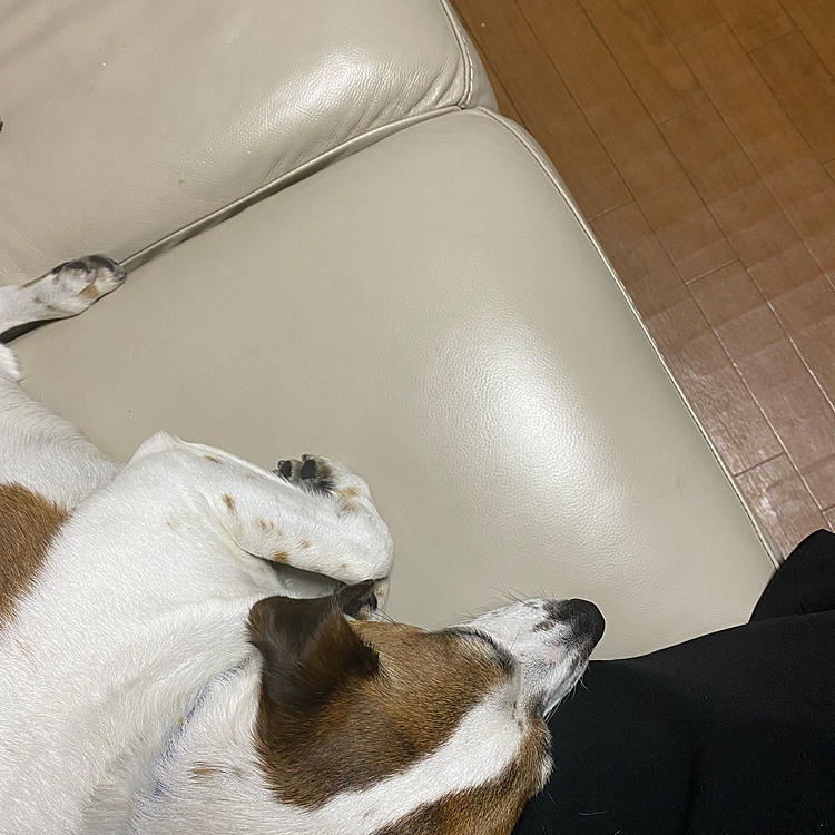 このアンヨ、可愛い💕