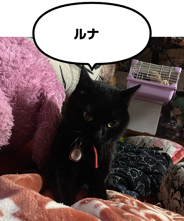たしかに太ってるけど、職人顔で人のお腹をフニフニしないでくださーいwww