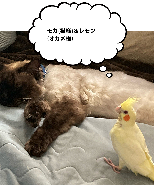 本当に君たち仲良しだねー。
私も仲間に入れてくれ＞＜♡